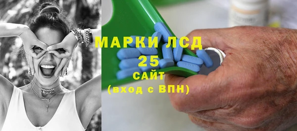 СК Ельня