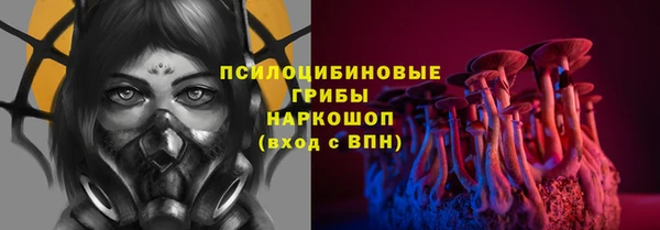 гашик Балахна